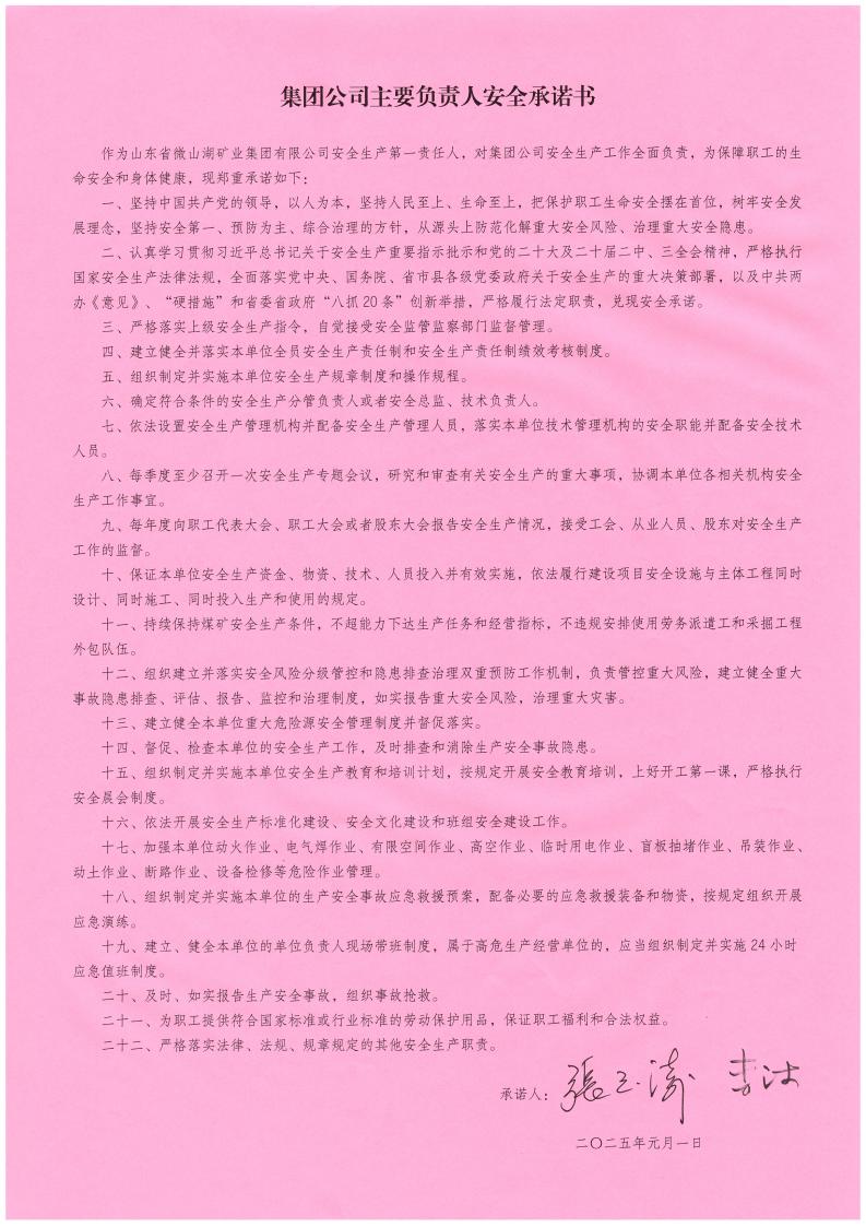 2025年集團(tuán)公司主要負(fù)責(zé)人安全承諾書_00.jpg